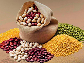Lentils & Pulses